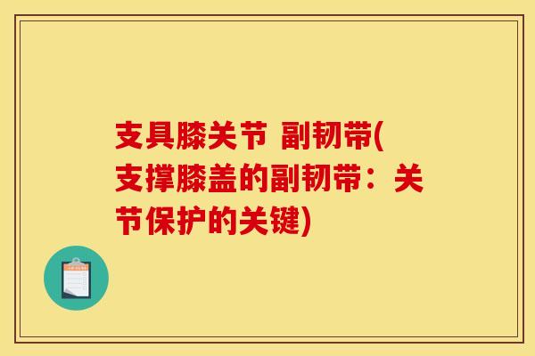 支具膝关节 副韧带(支撑膝盖的副韧带：关节保护的关键)