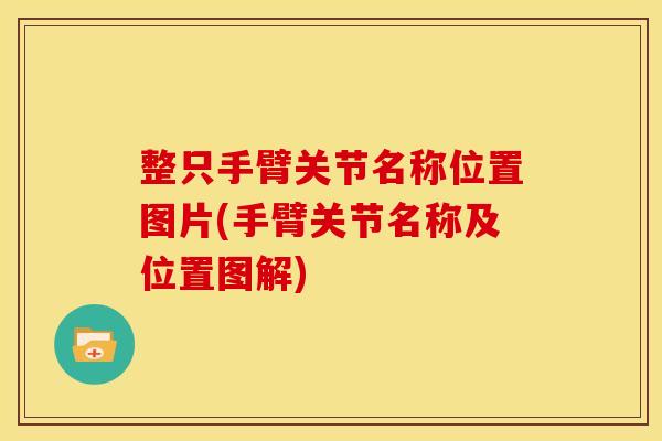 整只手臂关节名称位置图片(手臂关节名称及位置图解)