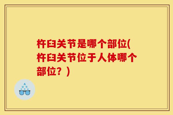 杵臼关节是哪个部位(杵臼关节位于人体哪个部位?) 杵臼关节是哪个部位(杵臼关节位于人体哪个部位?)