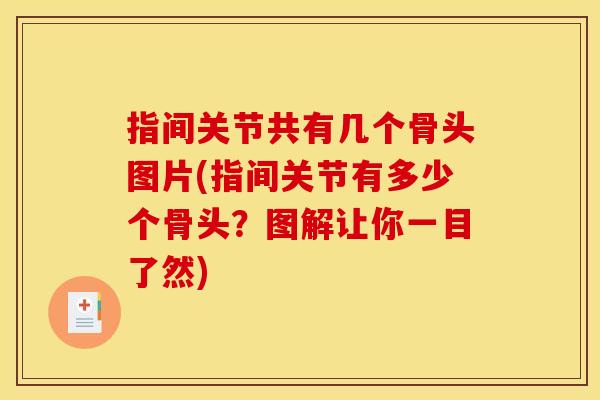 指间关节共有几个骨头图片(指间关节有多少个骨头?图解让你一目了然) 指间关节共有几个骨头图片(指间关节有多少个骨头?图解让你一目了然)