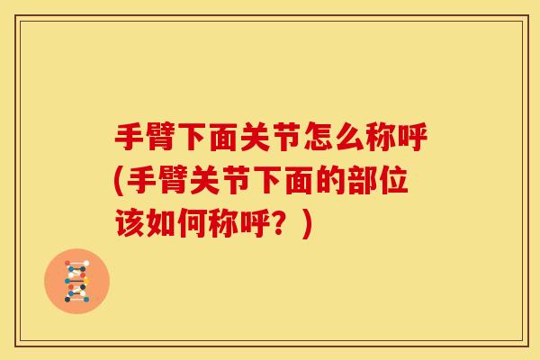 手臂下面关节怎么称呼(手臂关节下面的部位该如何称呼？)