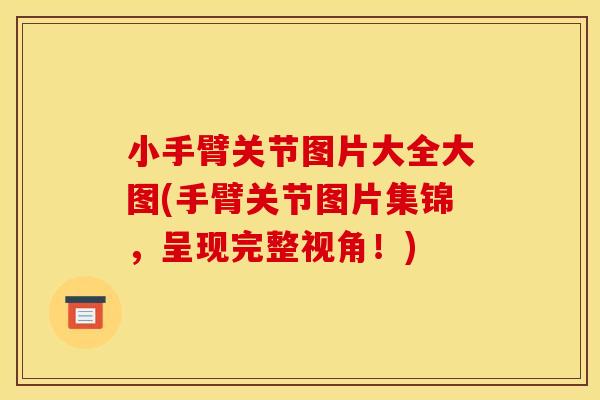 小手臂关节图片大全大图(手臂关节图片集锦，呈现完整视角！)