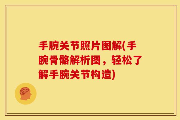 手腕关节照片图解(手腕骨骼解析图，轻松了解手腕关节构造)