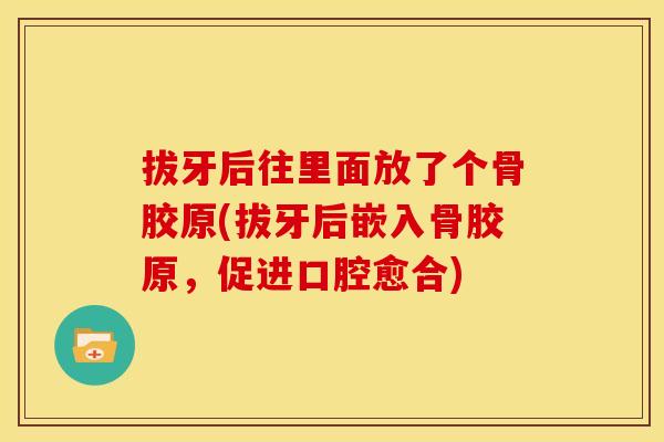 拔牙后往里面放了个骨胶原(拔牙后嵌入骨胶原,促进口腔愈合) 拔牙后往里面放了个骨胶原(拔牙后嵌入骨胶原,促进口腔愈合)