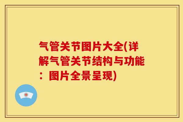 气管关节图片大全(详解气管关节结构与功能：图片全景呈现)