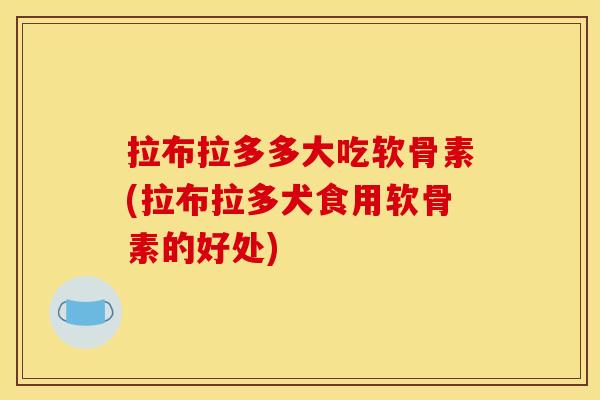 拉布拉多多大吃软骨素(拉布拉多犬食用软骨素的好处)