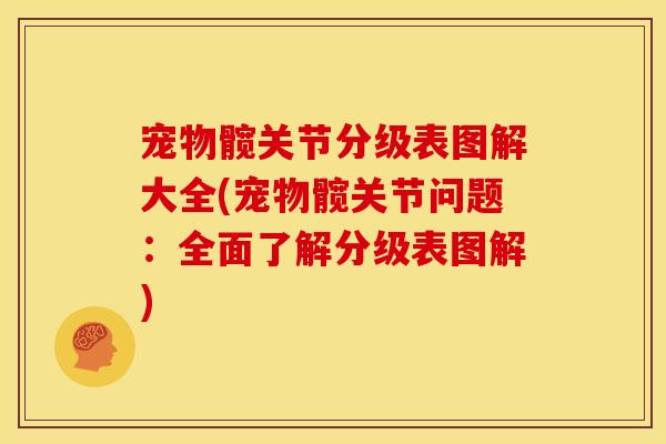 宠物髋关节分级表图解大全(宠物髋关节问题:全面了解分级表图解) 宠物髋关节分级表图解大全(宠物髋关节问题:全面了解分级表图解)