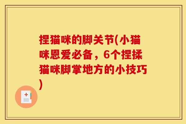 捏猫咪的脚关节(小猫咪恩爱必备,6个捏揉猫咪脚掌地方的小技巧) 捏猫咪的脚关节(小猫咪恩爱必备,6个捏揉猫咪脚掌地方的小技巧)