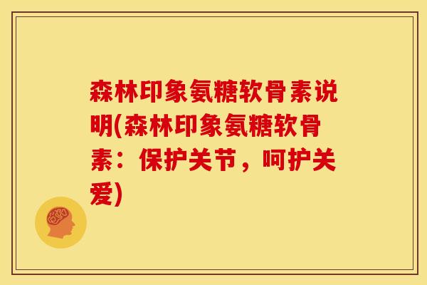 森林印象氨糖软骨素说明(森林印象氨糖软骨素：保护关节，呵护关爱)