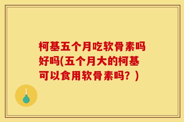 柯基五个月吃软骨素吗好吗(五个月大的柯基可以食用软骨素吗？)