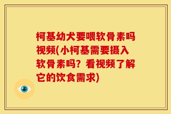 柯基幼犬要喂软骨素吗视频(小柯基需要摄入软骨素吗？看视频了解它的饮食需求)