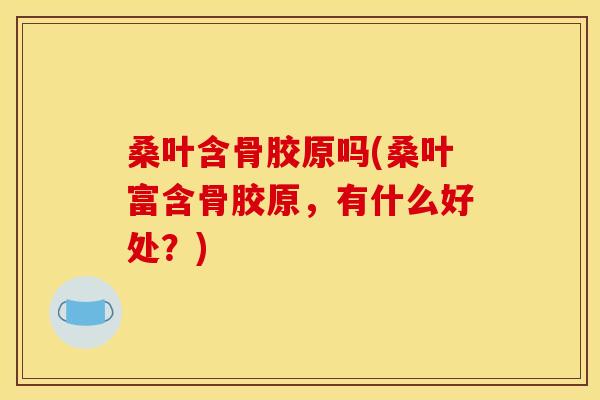 桑叶含骨胶原吗(桑叶富含骨胶原，有什么好处？)