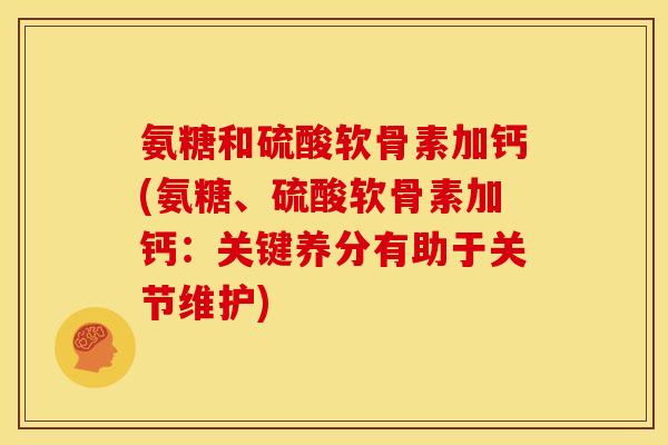 氨糖和硫酸软骨素加钙(氨糖、硫酸软骨素加钙：关键养分有助于关节维护)