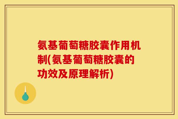 氨基葡萄糖胶囊作用机制(氨基葡萄糖胶囊的功效及原理解析) 氨基葡萄糖胶囊作用机制(氨基葡萄糖胶囊的功效及原理解析)