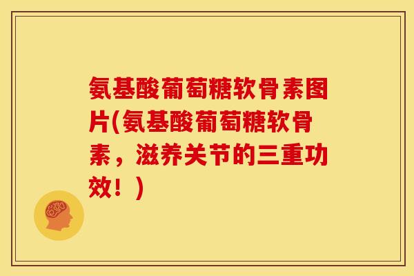 氨基酸葡萄糖软骨素图片(氨基酸葡萄糖软骨素,滋养关节的三重功效!) 氨基酸葡萄糖软骨素图片(氨基酸葡萄糖软骨素,滋养关节的三重功效!)