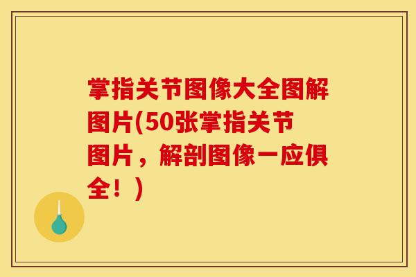 掌指关节图像大全图解图片(50张掌指关节图片，解剖图像一应俱全！)