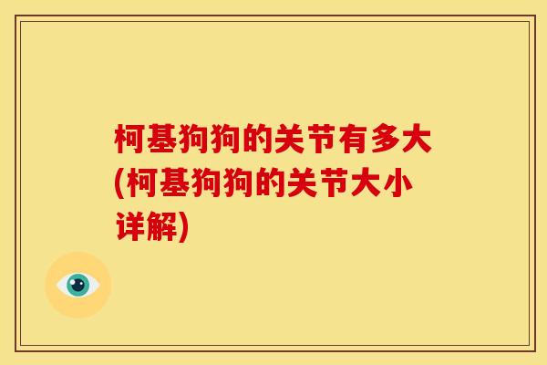 柯基狗狗的关节有多大(柯基狗狗的关节大小详解) 柯基狗狗的关节有多大(柯基狗狗的关节大小详解)