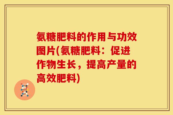 氨糖肥料的作用与功效图片(氨糖肥料:促进作物生长,提高产量的高效肥料) 氨糖肥料的作用与功效图片(氨糖肥料:促进作物生长,提高产量的高效肥料)