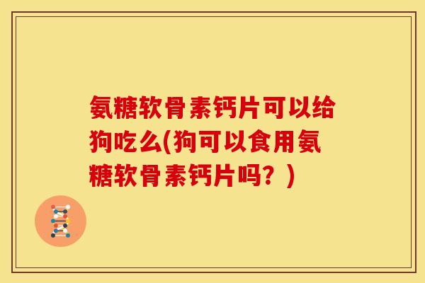 氨糖软骨素钙片可以给狗吃么(狗可以食用氨糖软骨素钙片吗？)