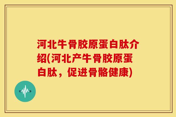 河北牛骨胶原蛋白肽介绍(河北产牛骨胶原蛋白肽，促进骨骼健康)