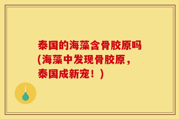 泰国的海藻含骨胶原吗(海藻中发现骨胶原,泰国成新宠!) 泰国的海藻含骨胶原吗(海藻中发现骨胶原,泰国成新宠!)