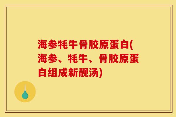 海参牦牛骨胶原蛋白(海参、牦牛、骨胶原蛋白组成新靓汤) 海参牦牛骨胶原蛋白(海参、牦牛、骨胶原蛋白组成新靓汤)