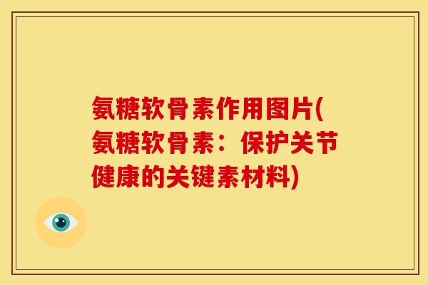 氨糖软骨素作用图片(氨糖软骨素:保护关节健康的关键素材料) 氨糖软骨素作用图片(氨糖软骨素:保护关节健康的关键素材料)