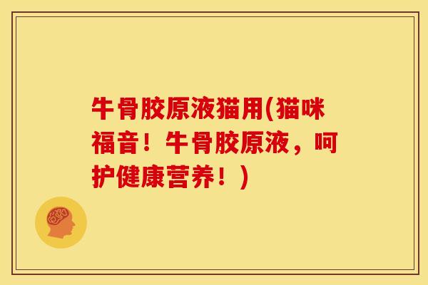 牛骨胶原液猫用(猫咪福音！牛骨胶原液，呵护健康营养！)