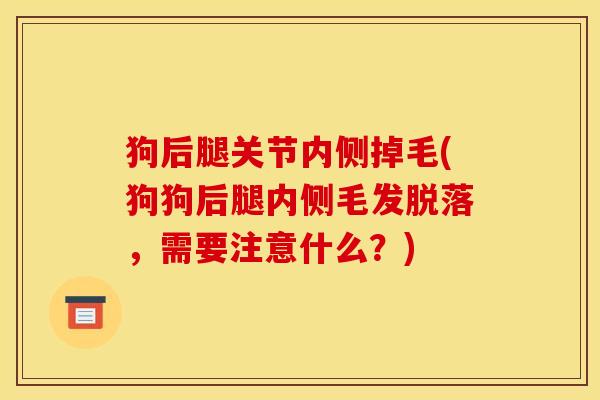 狗后腿关节内侧掉毛(狗狗后腿内侧毛发脱落,需要注意什么?) 狗后腿关节内侧掉毛(狗狗后腿内侧毛发脱落,需要注意什么?)