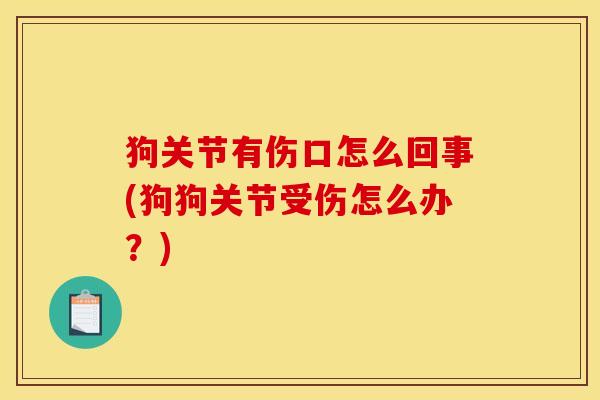 狗关节有伤口怎么回事(狗狗关节受伤怎么办？)