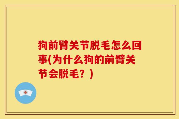 狗前臂关节脱毛怎么回事(为什么狗的前臂关节会脱毛?) 狗前臂关节脱毛怎么回事(为什么狗的前臂关节会脱毛?)