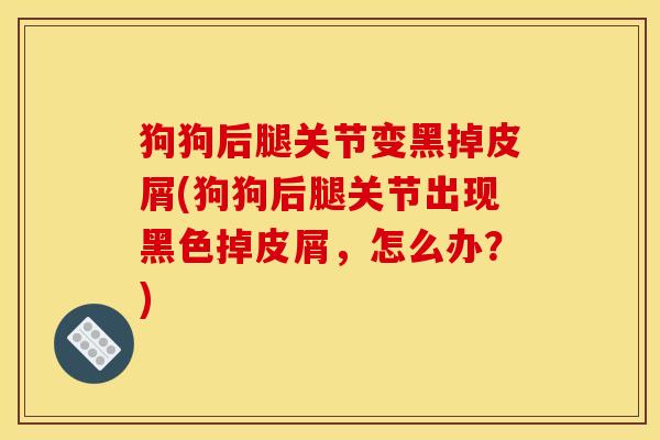狗狗后腿关节变黑掉皮屑(狗狗后腿关节出现黑色掉皮屑,怎么办?) 狗狗后腿关节变黑掉皮屑(狗狗后腿关节出现黑色掉皮屑,怎么办?)