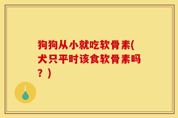 狗狗从小就吃软骨素(犬只平时该食软骨素吗?) 狗狗从小就吃软骨素(犬只平时该食软骨素吗?)