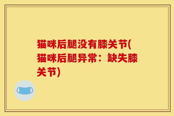 猫咪后腿没有膝关节(猫咪后腿异常：缺失膝关节)