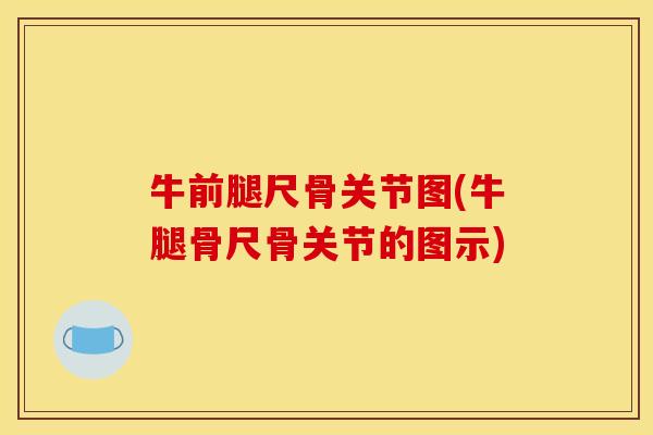 牛前腿尺骨关节图(牛腿骨尺骨关节的图示) 牛前腿尺骨关节图(牛腿骨尺骨关节的图示)
