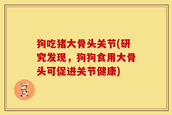 狗吃猪大骨头关节(研究发现,狗狗食用大骨头可促进关节健康) 狗吃猪大骨头关节(研究发现,狗狗食用大骨头可促进关节健康)