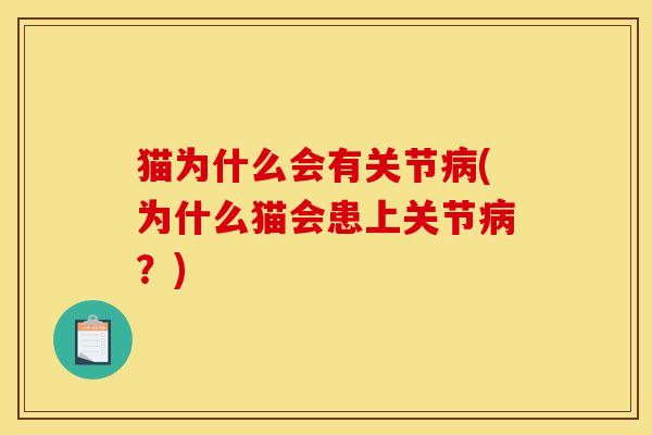 猫为什么会有关节(为什么猫会患上关节?) 猫为什么会有关节(为什么猫会患上关节?)