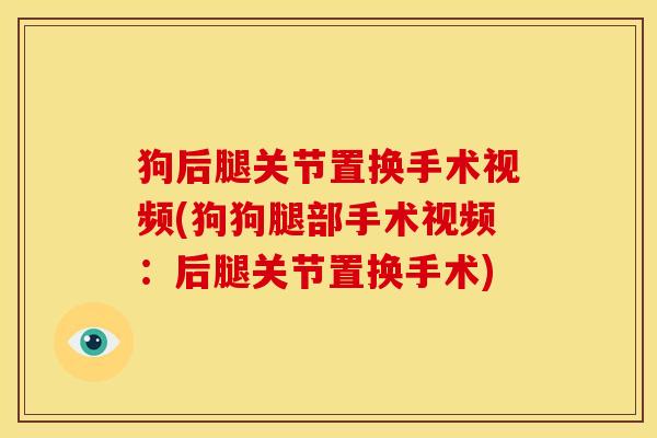 狗后腿关节置换手术视频(狗狗腿部手术视频：后腿关节置换手术)
