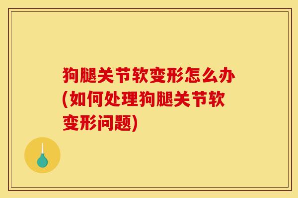 狗腿关节软变形怎么办(如何处理狗腿关节软变形问题) 狗腿关节软变形怎么办(如何处理狗腿关节软变形问题)
