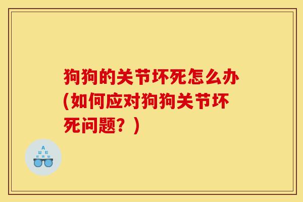 狗狗的关节坏死怎么办(如何应对狗狗关节坏死问题？)