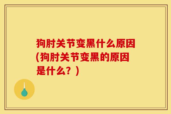 狗肘关节变黑什么原因(狗肘关节变黑的原因是什么?) 狗肘关节变黑什么原因(狗肘关节变黑的原因是什么?)