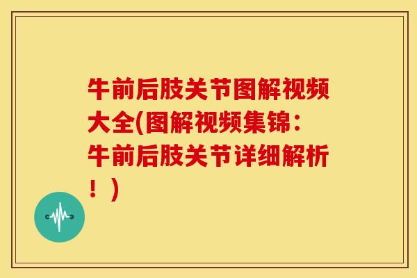 牛前后肢关节图解视频大全(图解视频集锦:牛前后肢关节详细解析!) 牛前后肢关节图解视频大全(图解视频集锦:牛前后肢关节详细解析!)