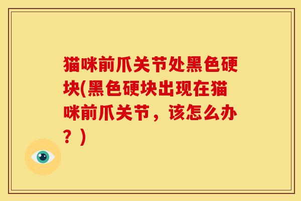 猫咪前爪关节处黑色硬块(黑色硬块出现在猫咪前爪关节,该怎么办?) 猫咪前爪关节处黑色硬块(黑色硬块出现在猫咪前爪关节,该怎么办?)