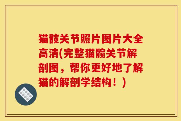 猫髋关节照片图片大全高清(完整猫髋关节解剖图，帮你更好地了解猫的解剖学结构！)