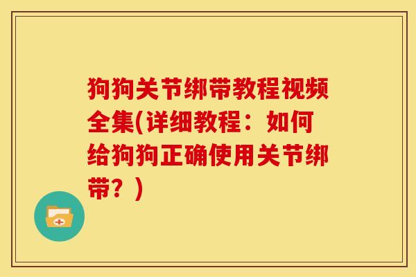 狗狗关节绑带教程视频全集(详细教程：如何给狗狗正确使用关节绑带？)