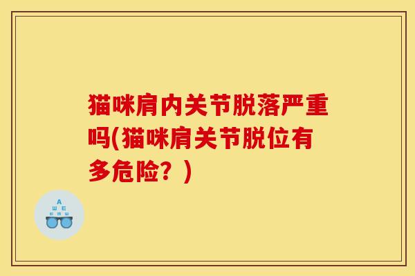 猫咪肩内关节脱落严重吗(猫咪肩关节脱位有多危险?) 猫咪肩内关节脱落严重吗(猫咪肩关节脱位有多危险?)