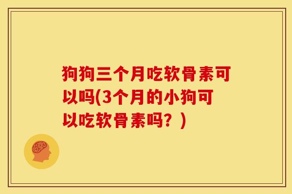 狗狗三个月吃软骨素可以吗(3个月的小狗可以吃软骨素吗？)