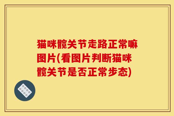 猫咪髋关节走路正常嘛图片(看图片判断猫咪髋关节是否正常步态) 猫咪髋关节走路正常嘛图片(看图片判断猫咪髋关节是否正常步态)