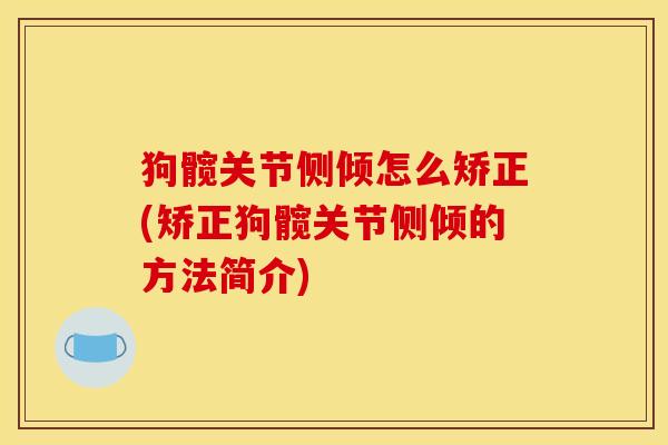 狗髋关节侧倾怎么矫正(矫正狗髋关节侧倾的方法简介) 狗髋关节侧倾怎么矫正(矫正狗髋关节侧倾的方法简介)
