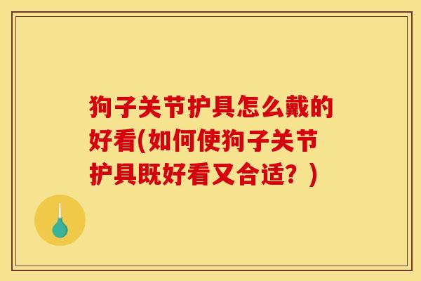狗子关节护具怎么戴的好看(如何使狗子关节护具既好看又合适？)